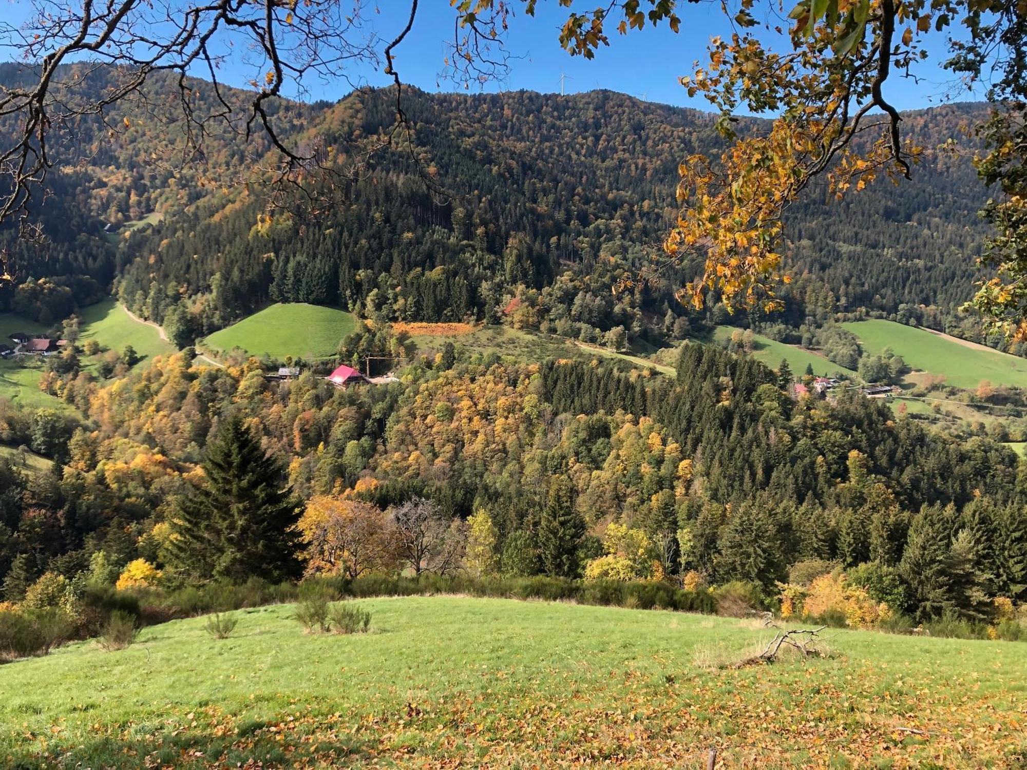 2 Zimmer Wohnung, Mit Sonnenterasse Schönwalde Exterior foto